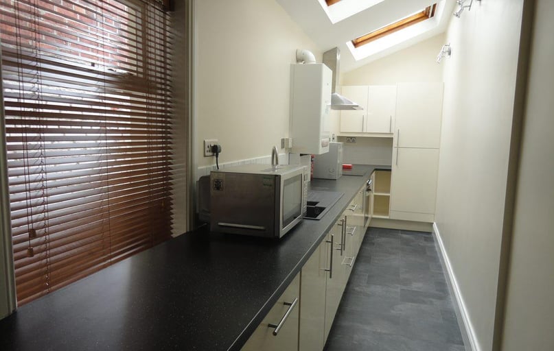Goldspink Lane, Jesmond Vale, Newcastle - Image 1